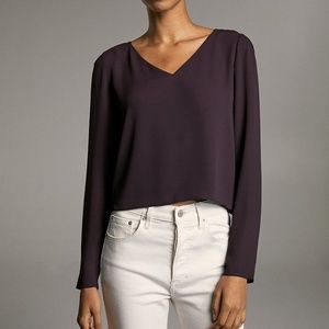 NWT Aritzia Murphy Long Sleeve V-Neck Blouse
